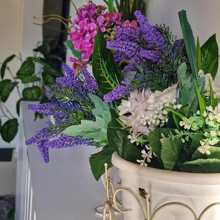 Urbano Burada No52a 아파트 콘스탄차