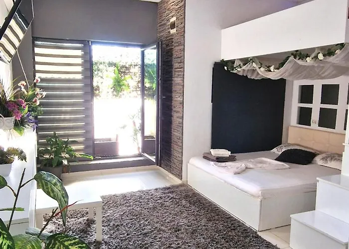 Urbano Burada No52a 3* コンスタンツァ