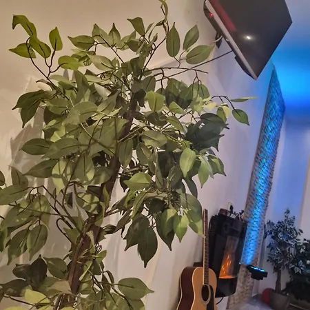 Urbano Burada No52a Constanta