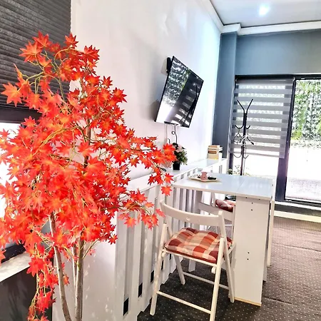 Appartamento Urbano Burada No52a 3*