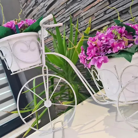 Urbano Burada No52a Констанца