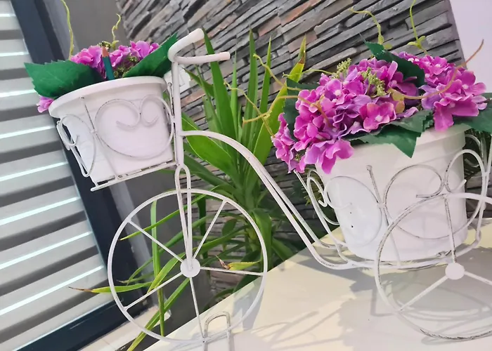 Urbano Burada No52a Констанца